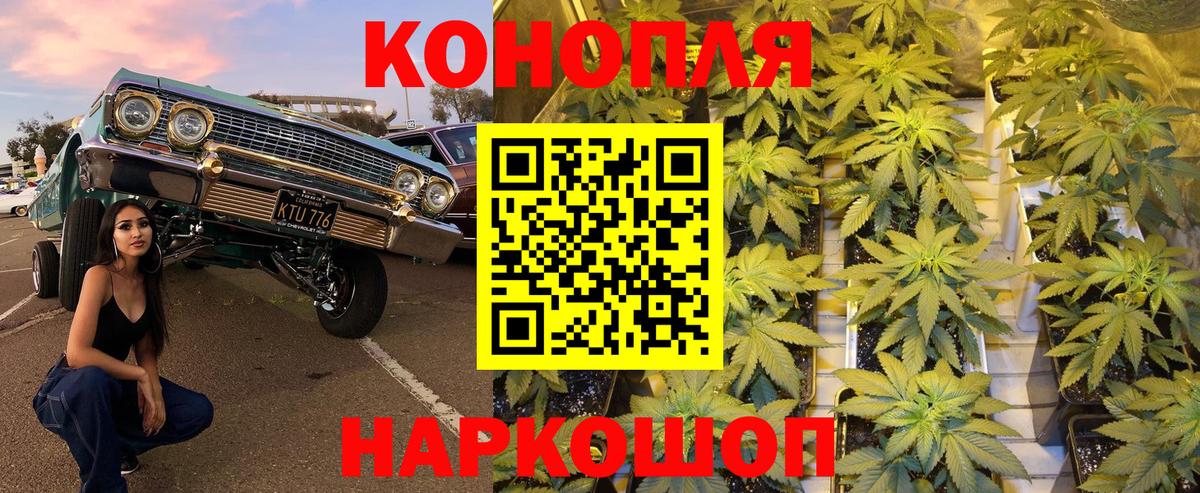 Бошки марихуана VHQ Нижневартовск